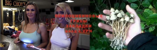МДПВ Ладушкин