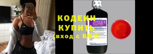 мяу мяу кристалл Гусь-Хрустальный