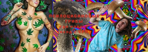 прущая мука Абаза