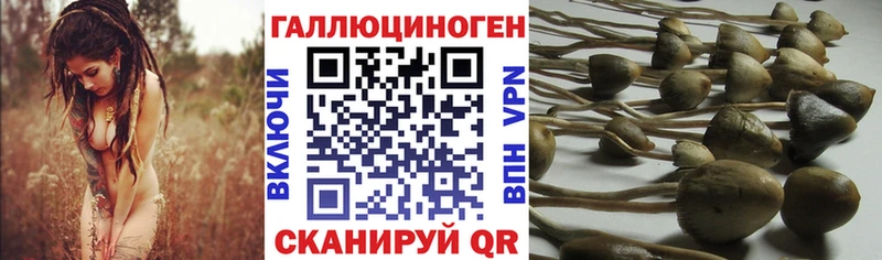 Псилоцибиновые грибы GOLDEN TEACHER  Ильский 